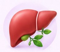 Liver health